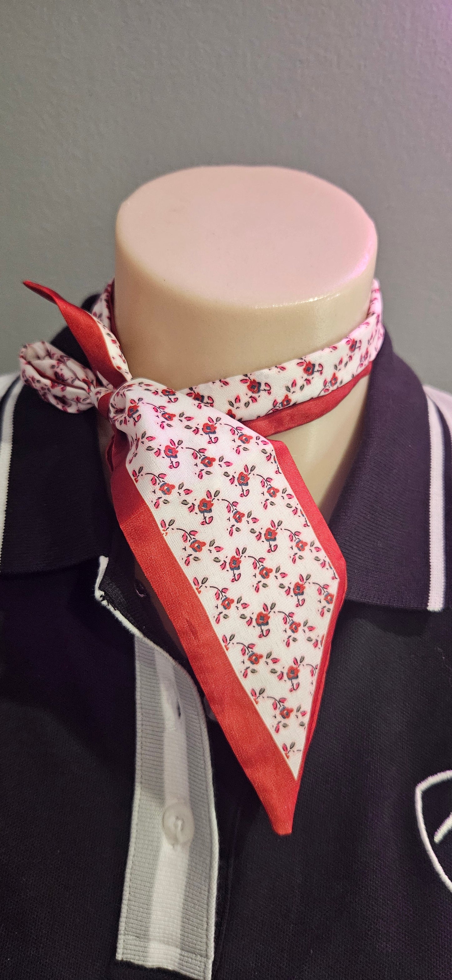 Neck Ties / Scarves
