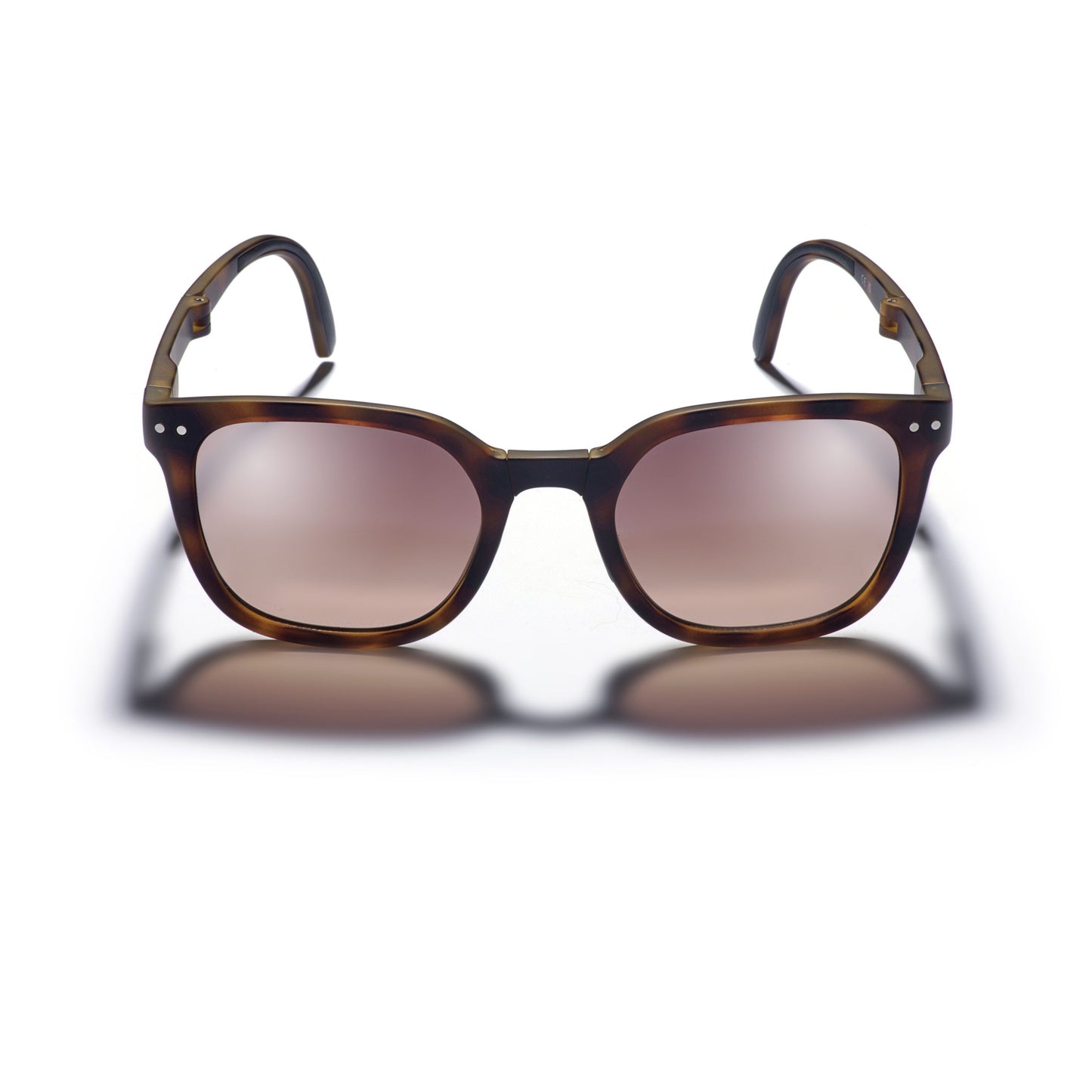 Canter Tort Sunglasses