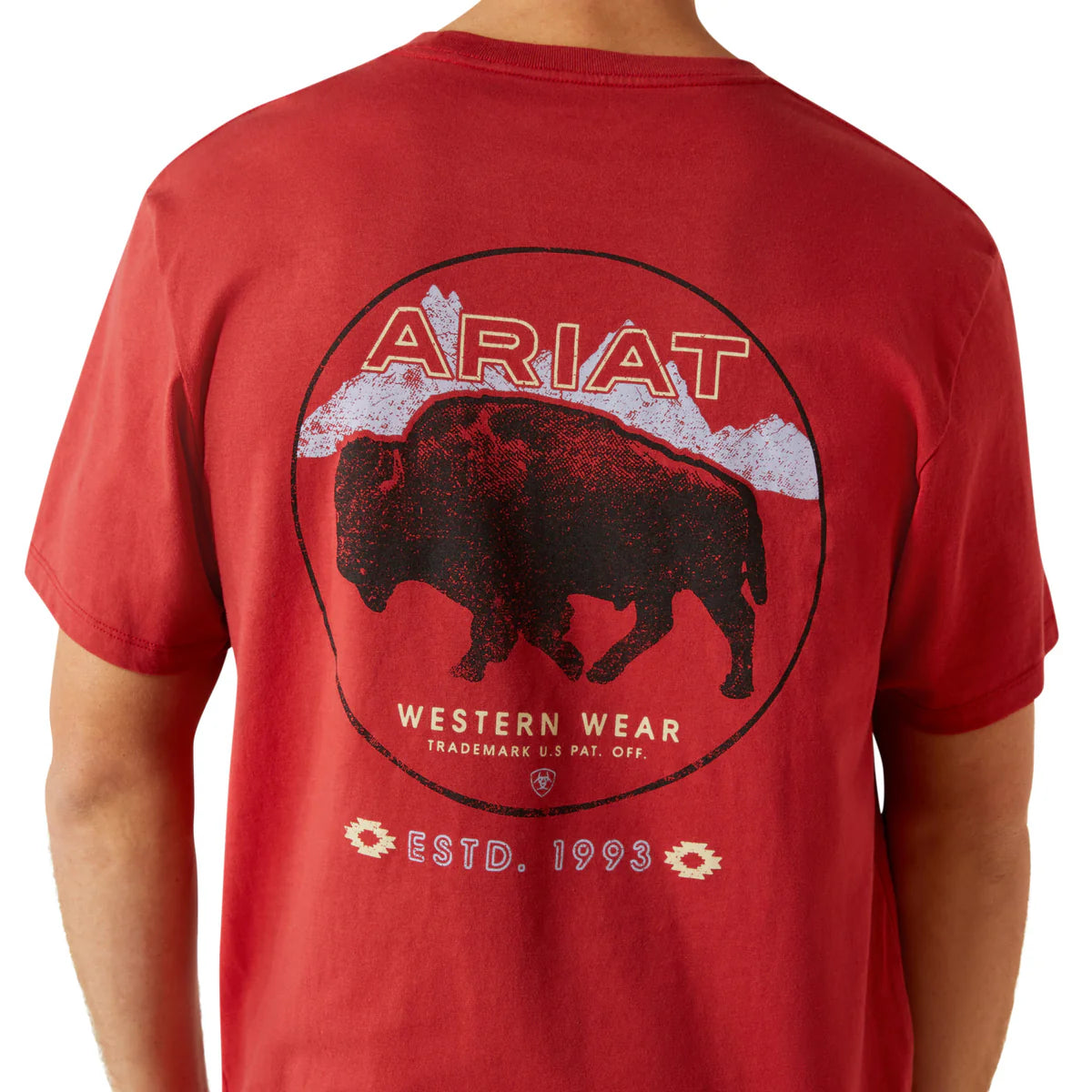 ARIAT PATRIOT BUFFALO COIN T-SHIRT - BOYS