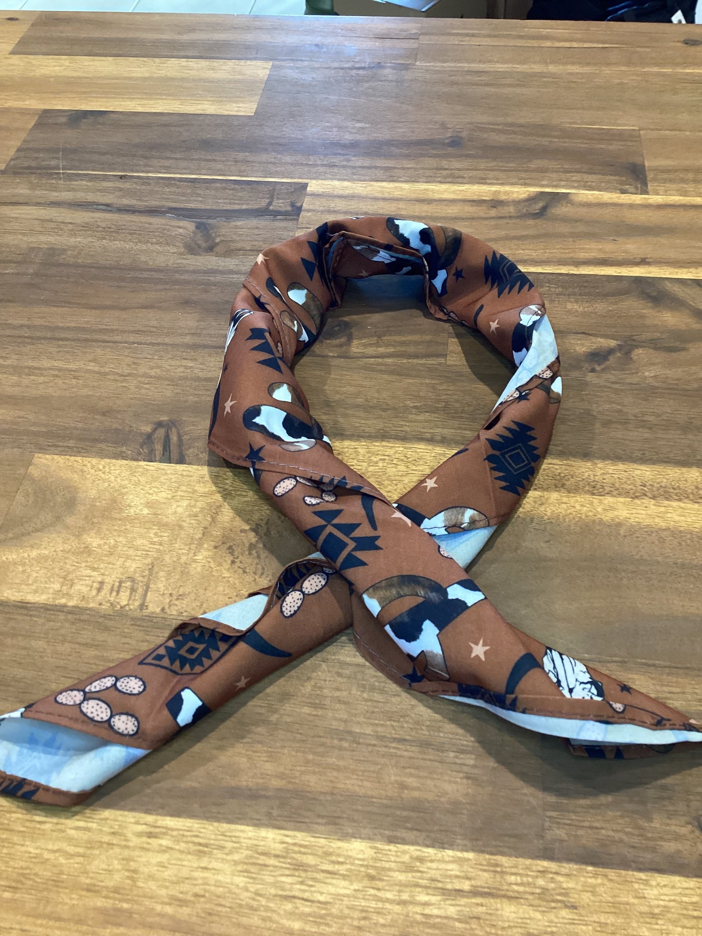 Western Wild Rags / Scarves