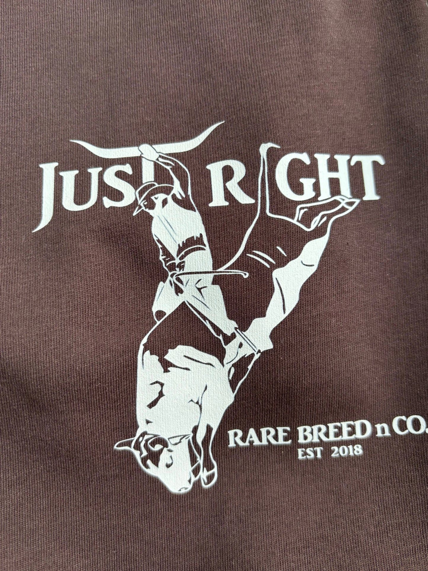 Country T-shirt - Just Right - Chocolate Brown - 1920 Rare Breed and Co