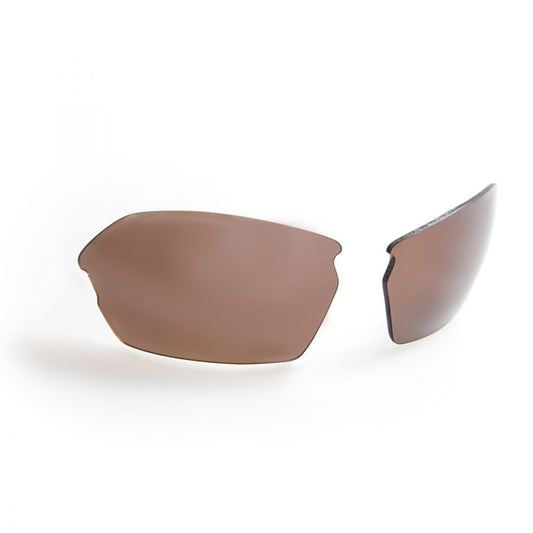 LIBERTY – Tortoise Sunglasses