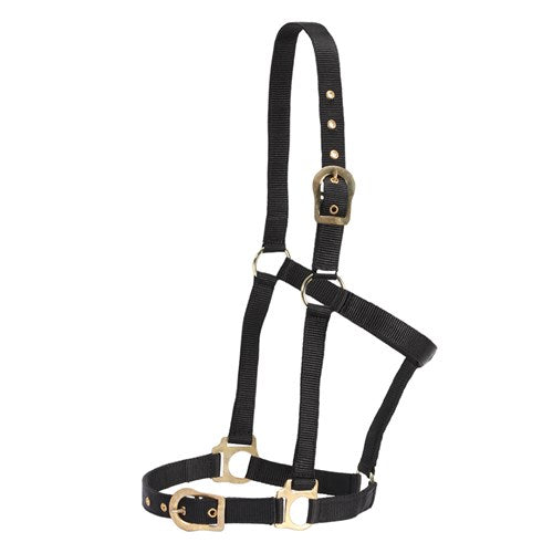 Rancher Halter w/Brass Buckles