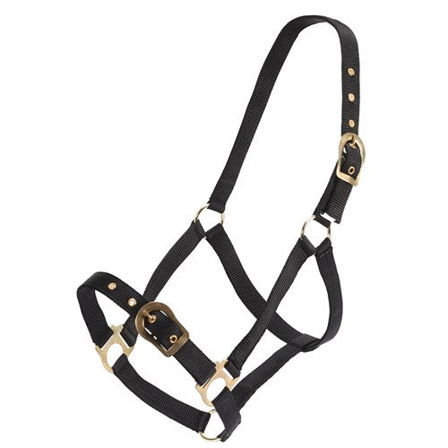 Rancher Halter w/Brass Buckles