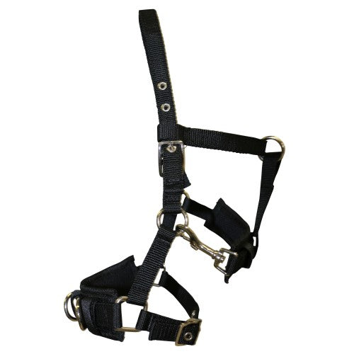 Nylon Lunge Cavesson Black Shetland