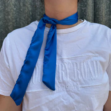 Neck Ties / Scarves