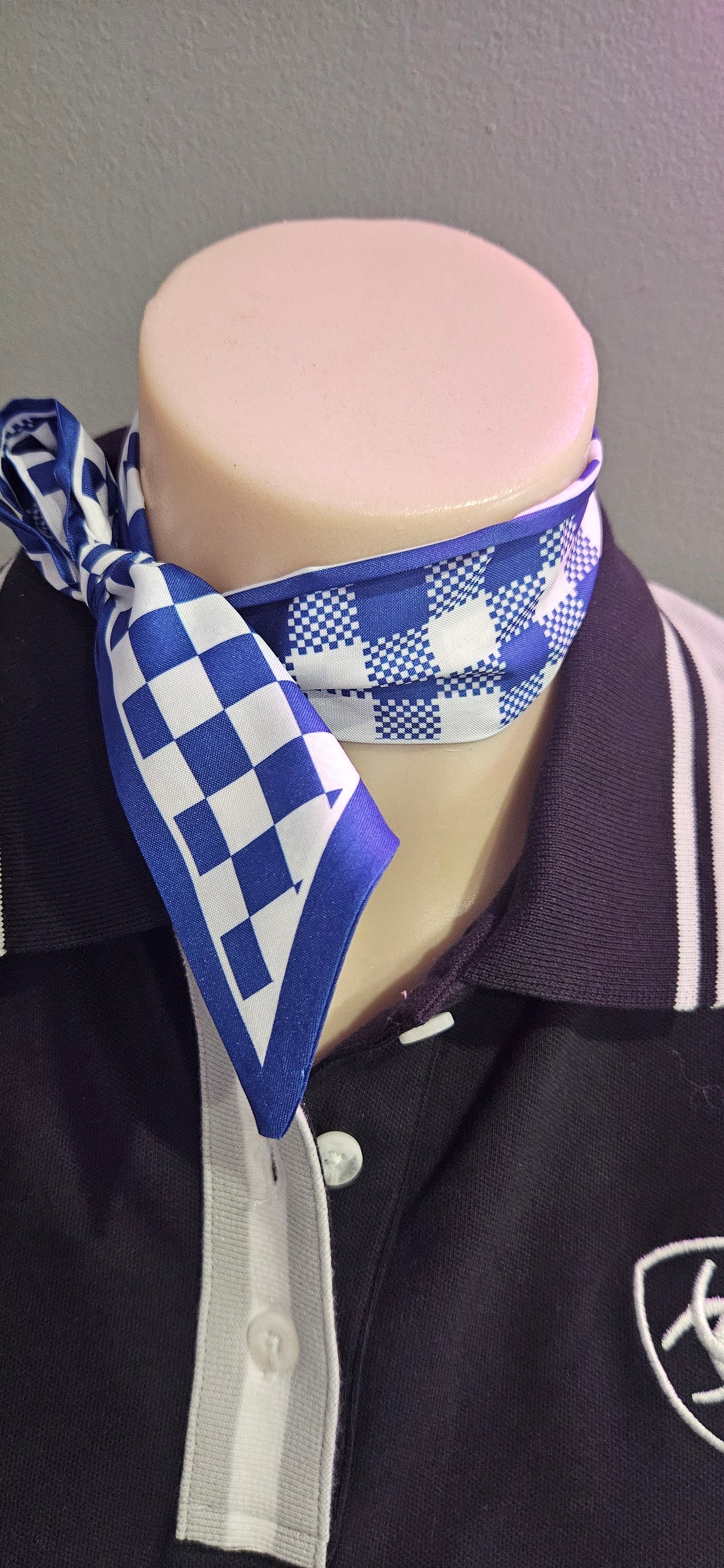 Neck Ties / Scarves
