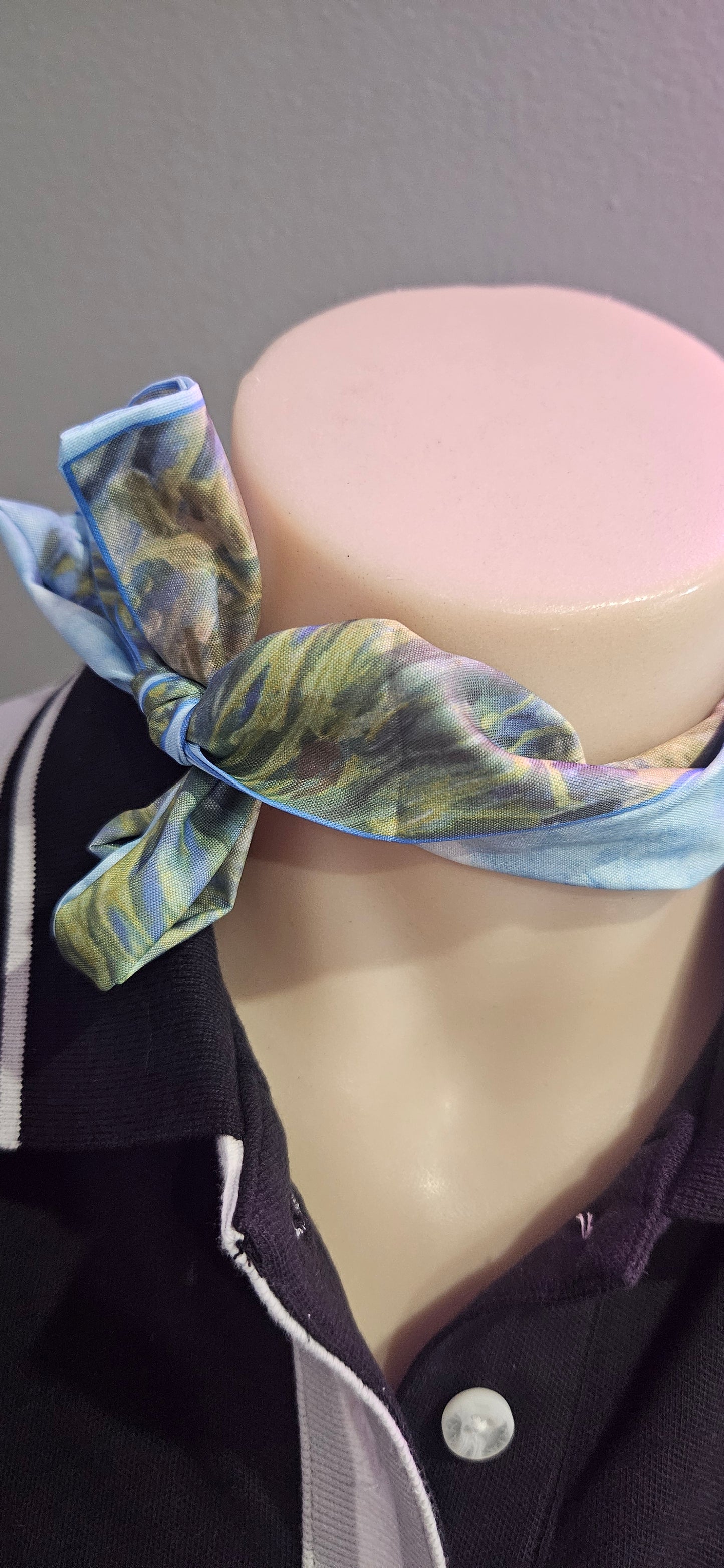 Neck Ties / Scarves