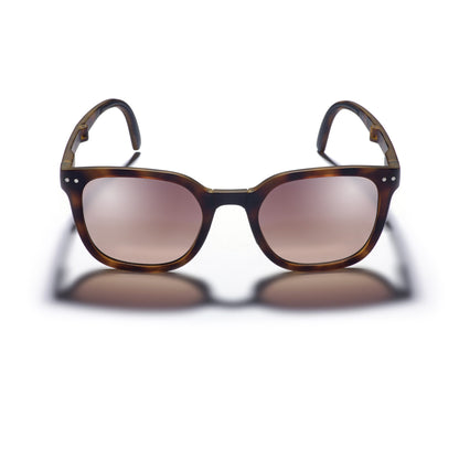 Canter Tort Sunglasses