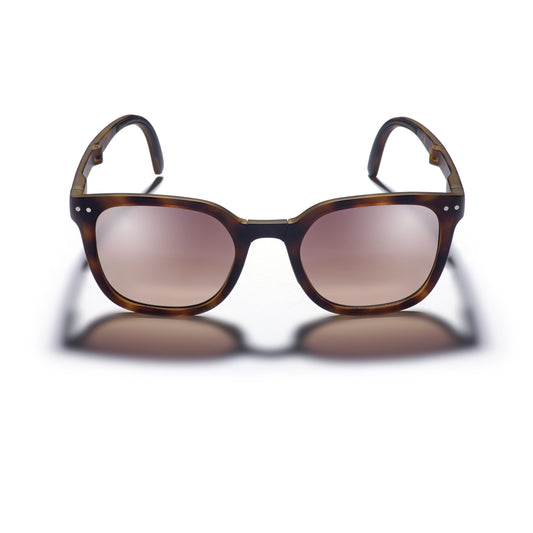 Canter Tort Sunglasses