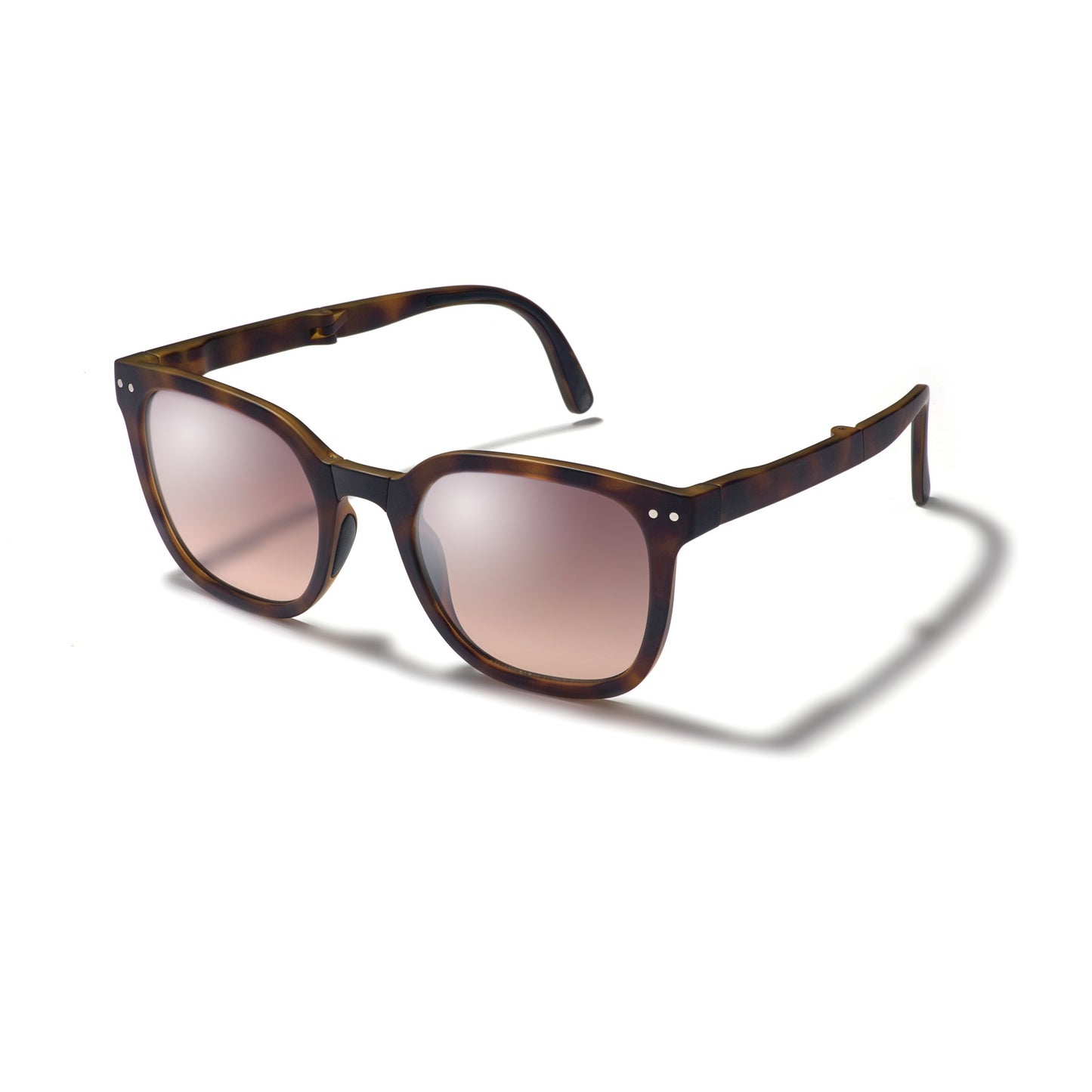 Canter Tort Sunglasses