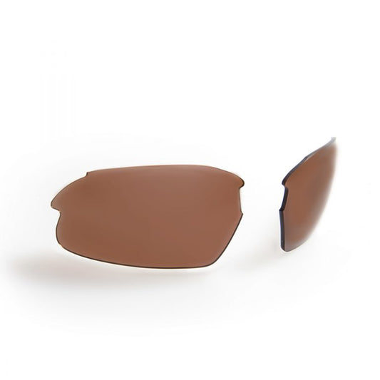 CLEANCUT – Honey Sunglasses