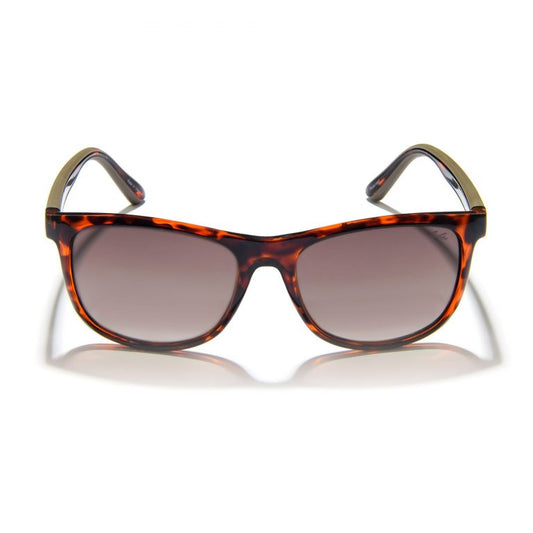 FENDER – Amber Tort – Sunglasses