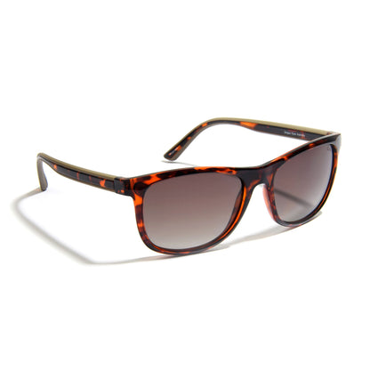 FENDER – Amber Tort – Sunglasses