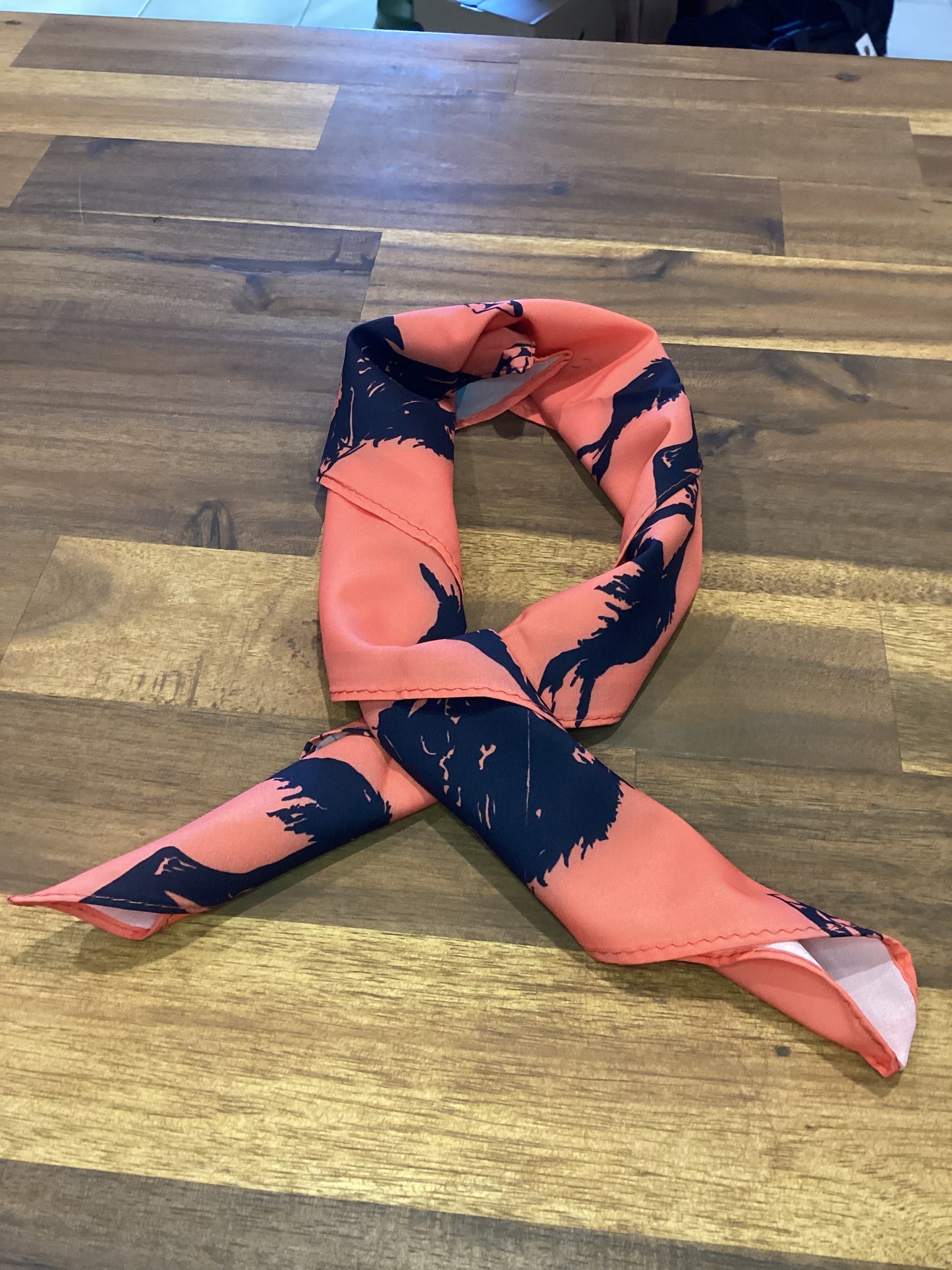 Western Small Wild Rags / Scarves