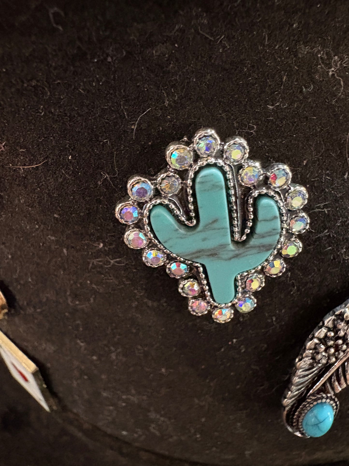 Western Hat Pins