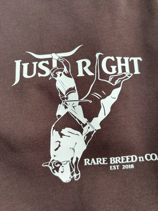 Country T-shirt - Just Right - Chocolate Brown - 1920 Rare Breed and Co