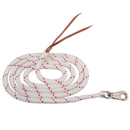 Horsemanship Training Lead w/ Bull Snap