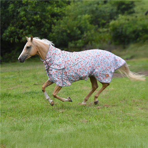 Kool Master Fly Mesh Combo w/Surcingles - Hot to Trot 5'3' / 160cm