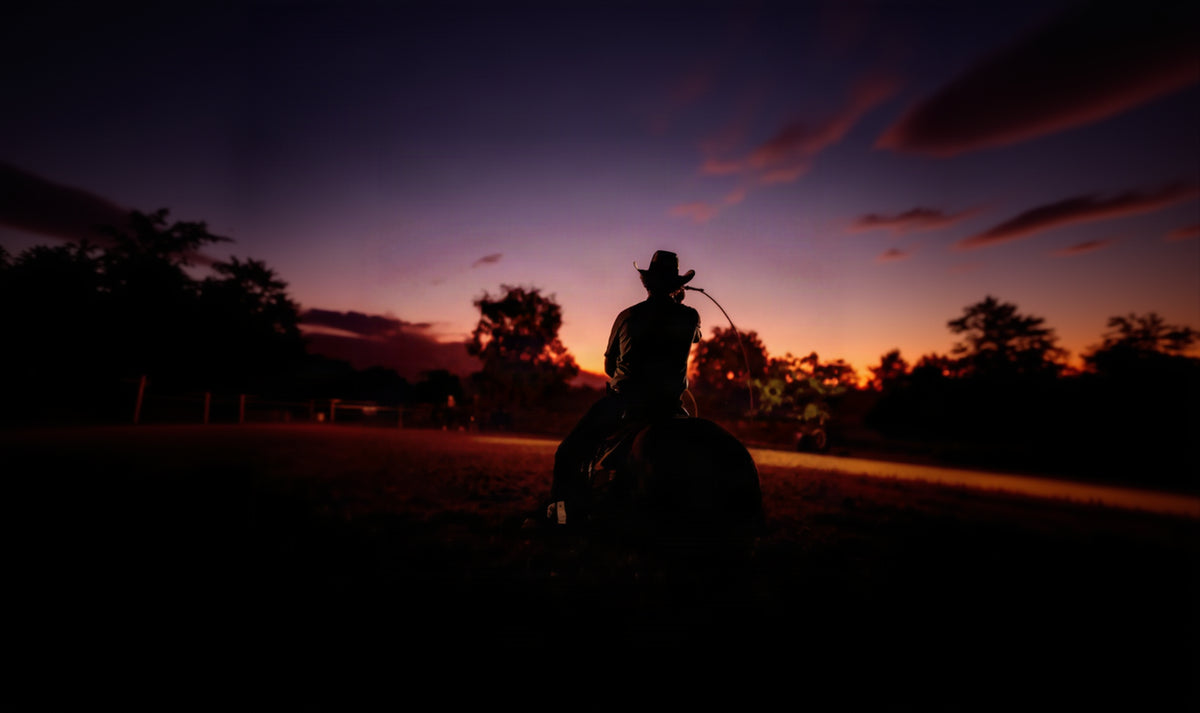Ruby Rose Horse & Rider 