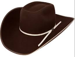 Resistol Snake Eyes 4x Wool Felt Cordova