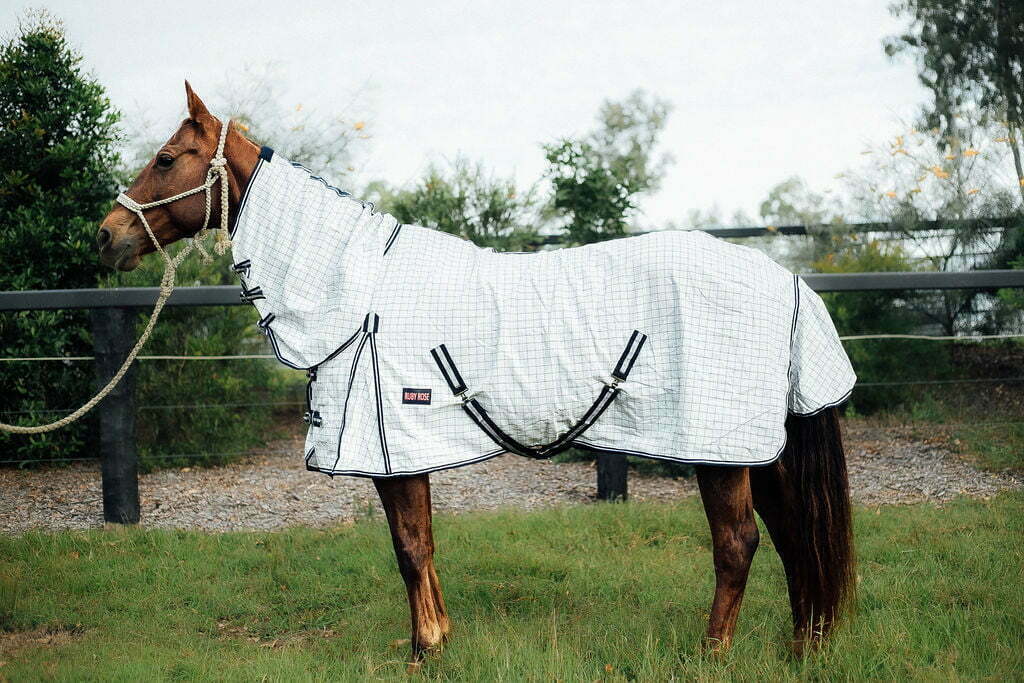 Ruby Rose Ripstop Combo Rug