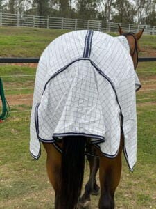 Ruby Rose Ripstop Combo Rug